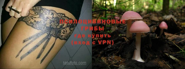 винт Дмитровск