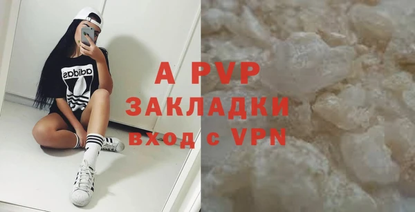 стафф Ельня