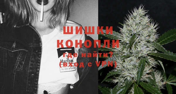 стафф Ельня