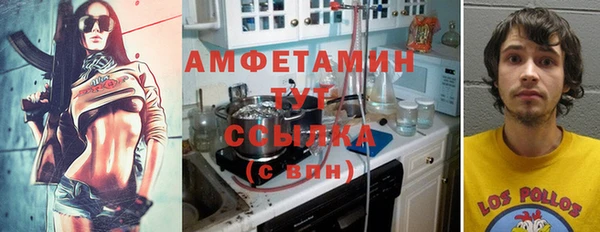 молекула духа Дмитриев