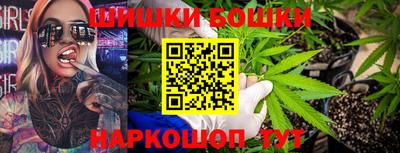 индика Новозыбков