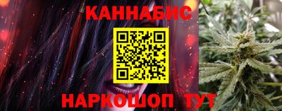 индика Новозыбков
