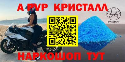 индика Новозыбков